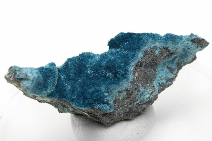 Blue Botryoidal Shattuckite Specimen - Namibia #228975